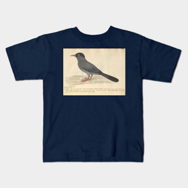 Black Bulbul by Frederick John Shore Kids T-Shirt by Amanda1775